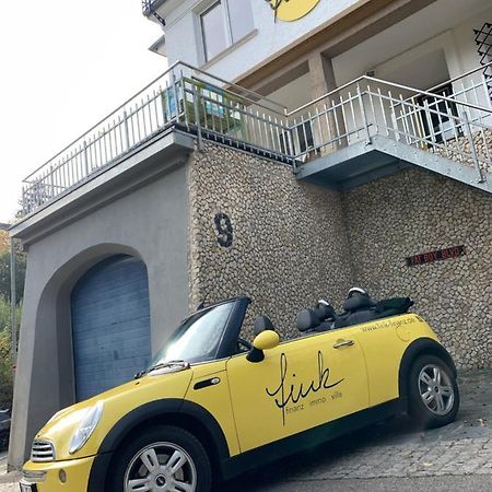 Villa Fink Schramberg Esterno foto