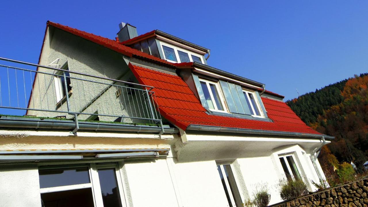 Villa Fink Schramberg Esterno foto