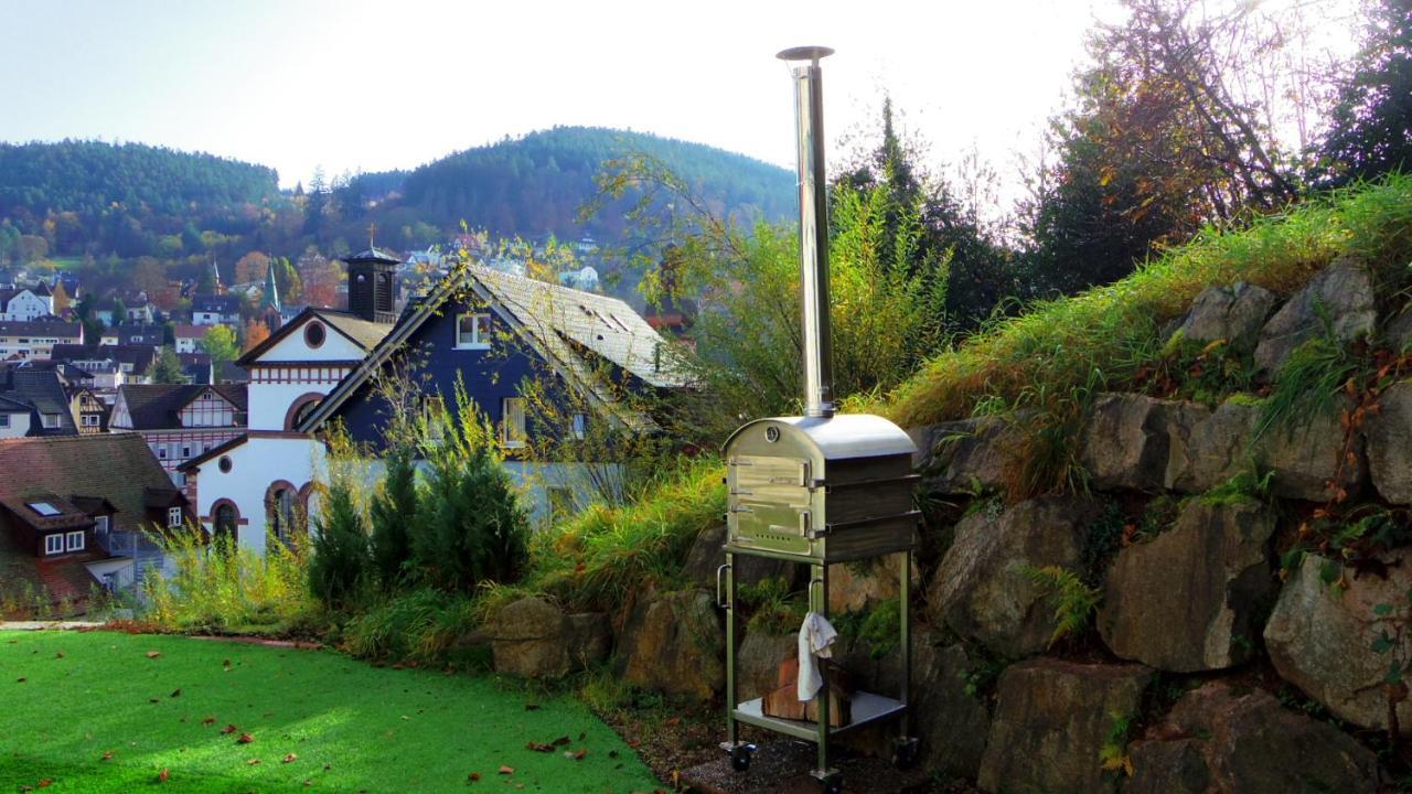 Villa Fink Schramberg Esterno foto