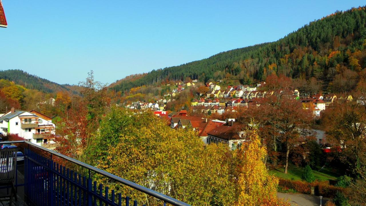 Villa Fink Schramberg Esterno foto