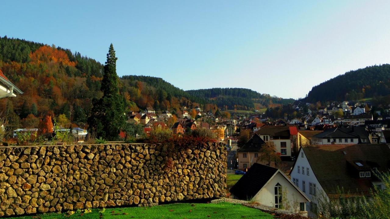 Villa Fink Schramberg Esterno foto