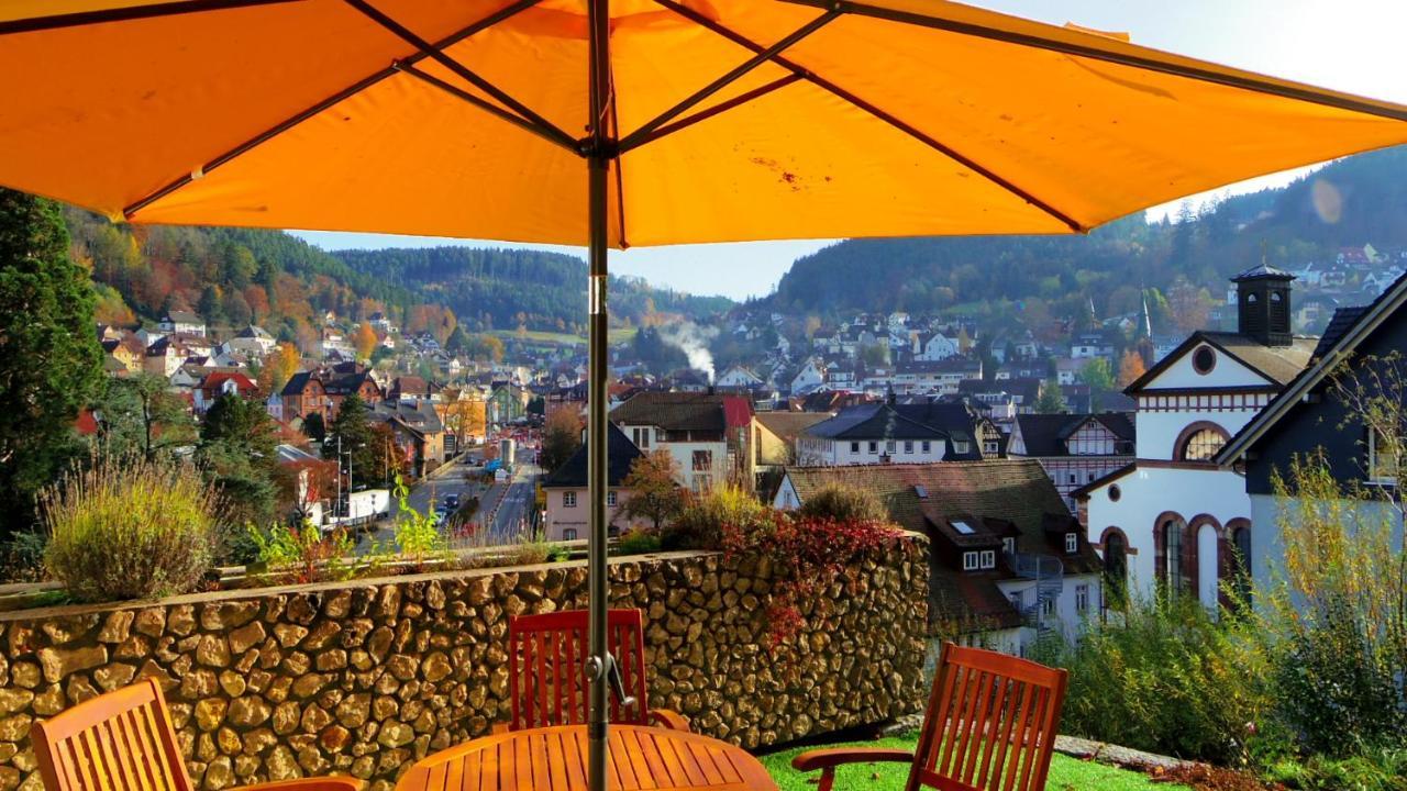 Villa Fink Schramberg Esterno foto