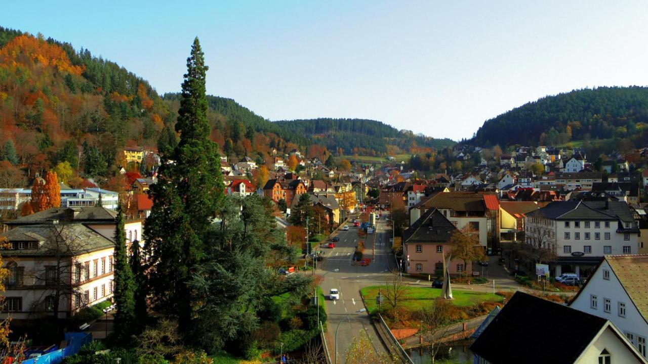 Villa Fink Schramberg Esterno foto