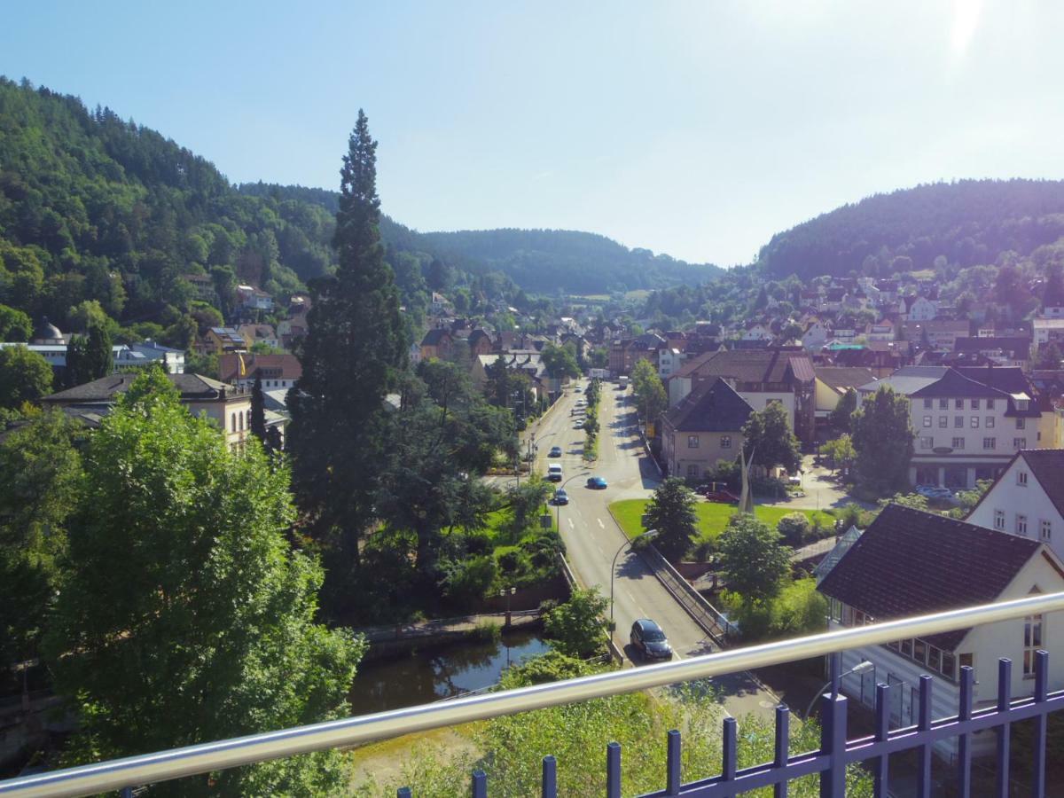 Villa Fink Schramberg Esterno foto